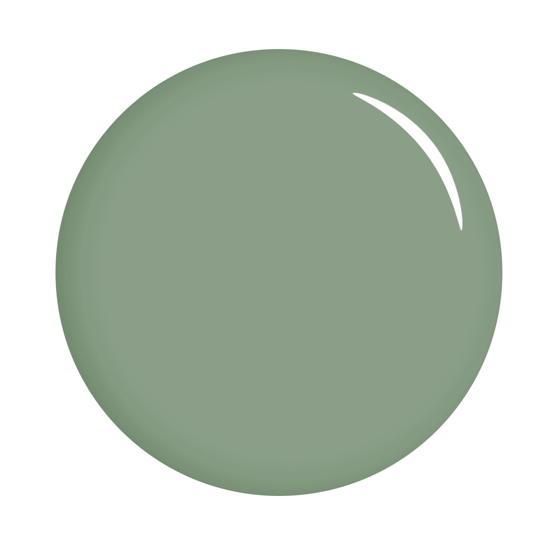 The Gel Expert Gelpolish – Grüner Tee