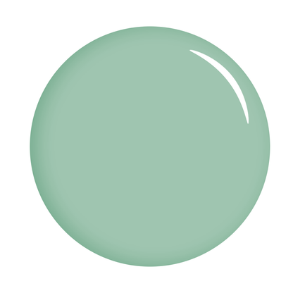 The Gel Expert Gelpolish – Mint